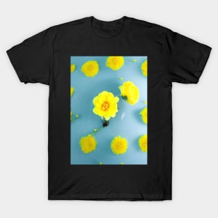 LOVELY YELLOW FLOWERS BLUE BACKGROUND T-Shirt